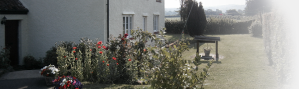 Picture of cottage